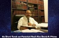 Divré Torah Parachat Noa'h Rav David Pitoun