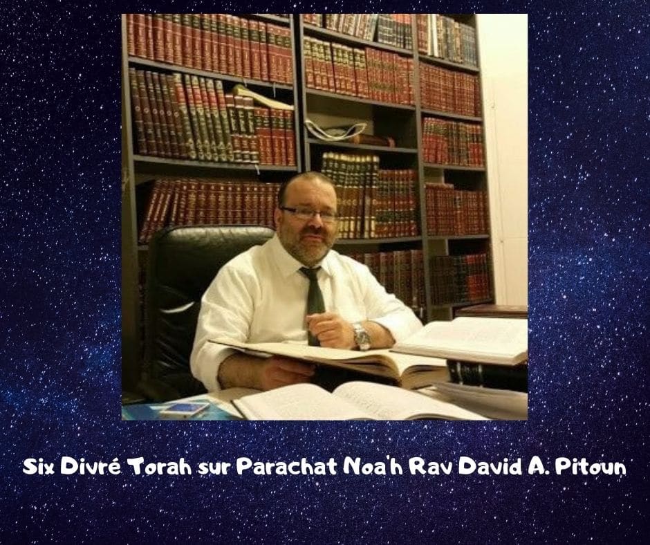 Divré Torah Parachat Noa'h Rav David Pitoun