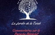 Paracha Béréchit - Jardindelatorah