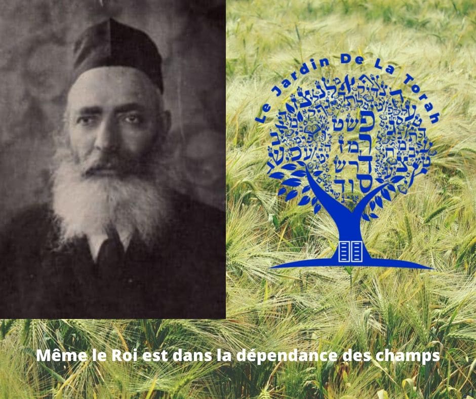 Paracha Noa'h Rabbi Yérouham Même le roi est dans la dépendance des champs