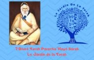 Paracha 'Hayé Sarah 7 Divré Torah par Jardindelatorah