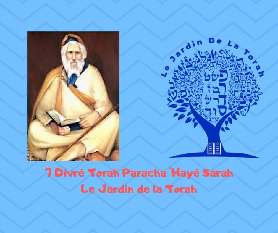 Paracha 'Hayé Sarah 7 Divré Torah par Jardindelatorah