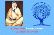 Paracha Toledot 6 Divré Torah par Jardindelatorah