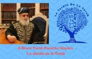 Paracha Vayéra - 6 Divré Torah par Jardindelatorah