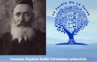 Paracha Vayétsé Rabbi Yérouham Leibovitch : une confiance épurée.