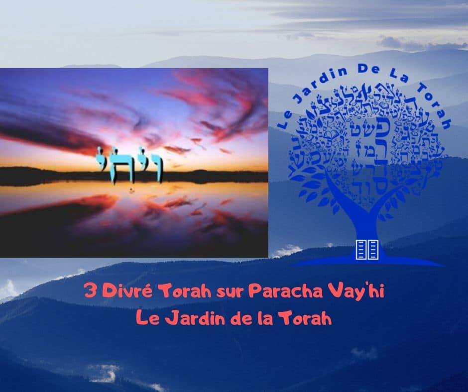 Paracha Vay'hi - 3 Divré Torah par Jardindelatorah