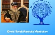 Paracha Vayéchev 7 Divré Torah par Jardindelatorah