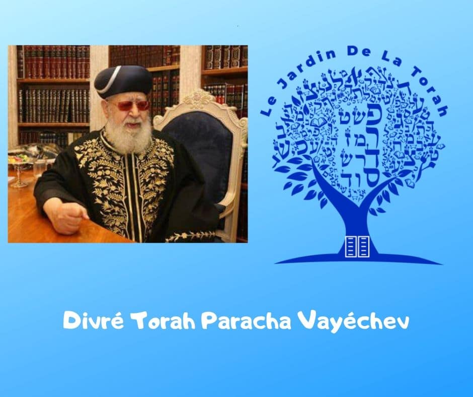 Paracha Vayéchev 7 Divré Torah par Jardindelatorah