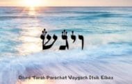 Divré Torah Parachat Vaygach Itsik Elbaz