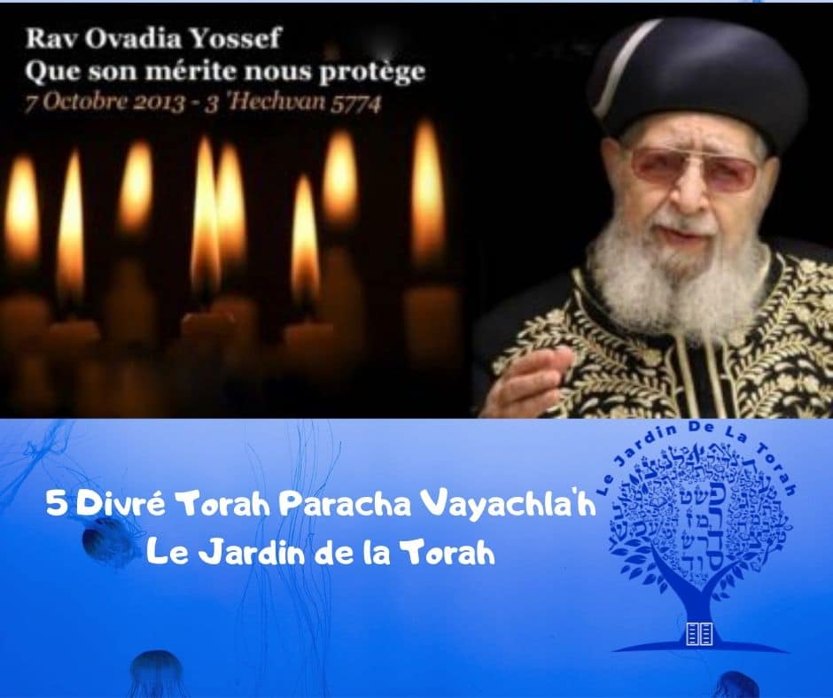 Paracha Vaychla'h 5 Divré Torah par Jardindelatorah