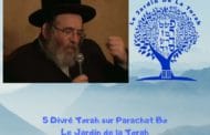Paracha Bo - 5 Divré Torah par Jardindelatorah
