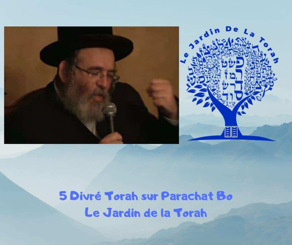 Paracha Bo - 5 Divré Torah par Jardindelatorah