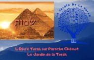 Paracha Chémot - 4 Divré Torah par Jardindelatorah