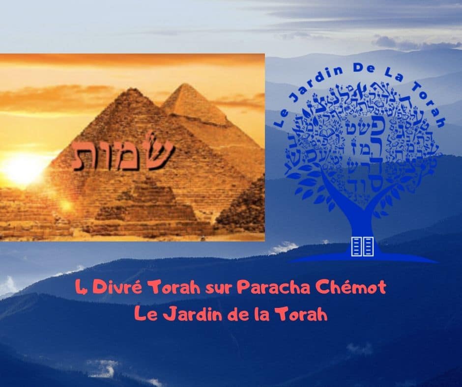 Paracha Chémot - 4 Divré Torah par Jardindelatorah