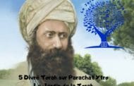 Paracha Ytro - 5 Divré Torah par Jardindelatorah