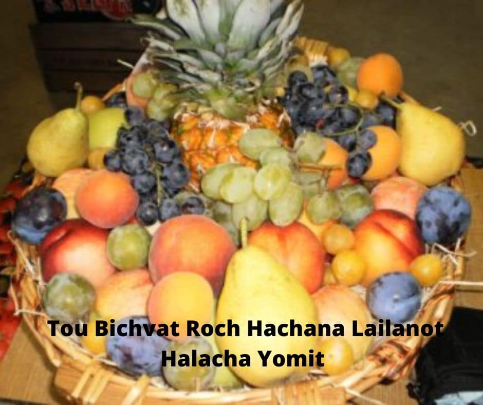 Tou Bichvat Roch Hachana Lailanot Halacha Yomit