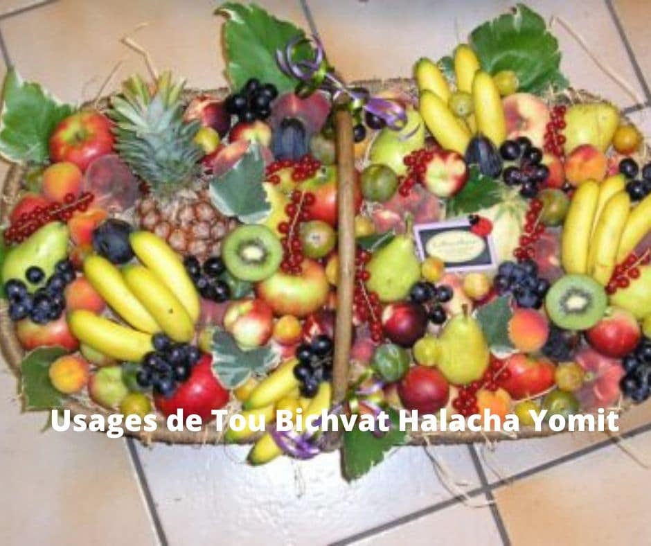 Usages de Tou Bichvat - Halacha Yomit