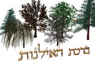 Ayin Itshak - La bénédiction des arbres - Cours du Grand Rabbin D’Israël   Rabbénou Itshak Yossef Chlita