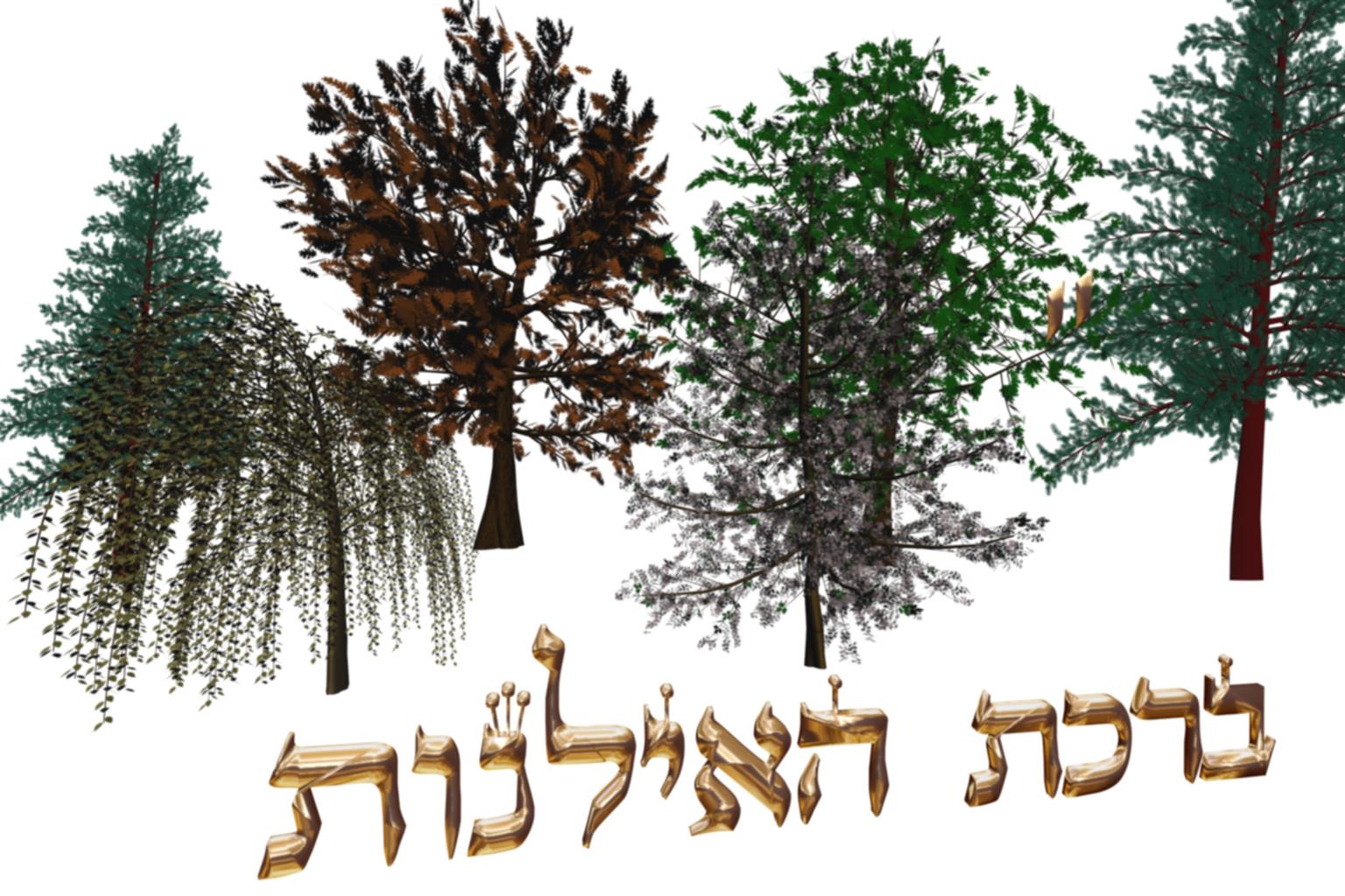 Ayin Itshak - La bénédiction des arbres - Cours du Grand Rabbin D’Israël   Rabbénou Itshak Yossef Chlita