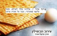 Le ‘Erouv Tavchilin - Rav David Pitoun