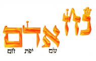 La Torah selon le Malbim Parachat Noah - Rav Michaël Smadja
