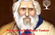 Dévar Torah Paracha Pin'has Rabbi Yaakov Abe’hsera