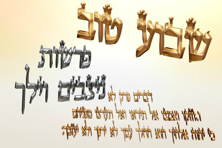 Parachat Vayélekh 5776 - Yéhouda Moshé Charbit