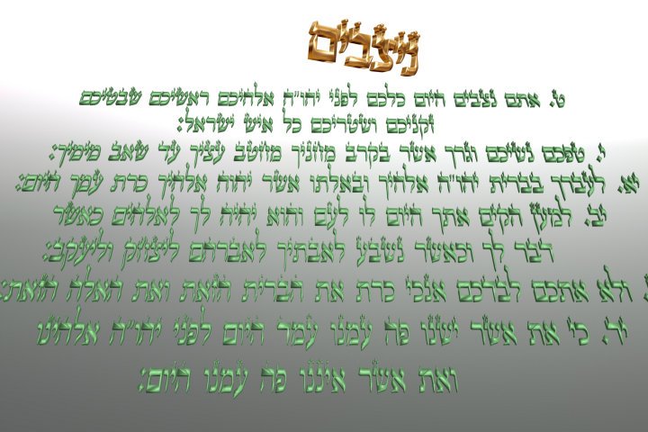 Parachat Nitsavim (5775) Yéhouda Moshé Charbit