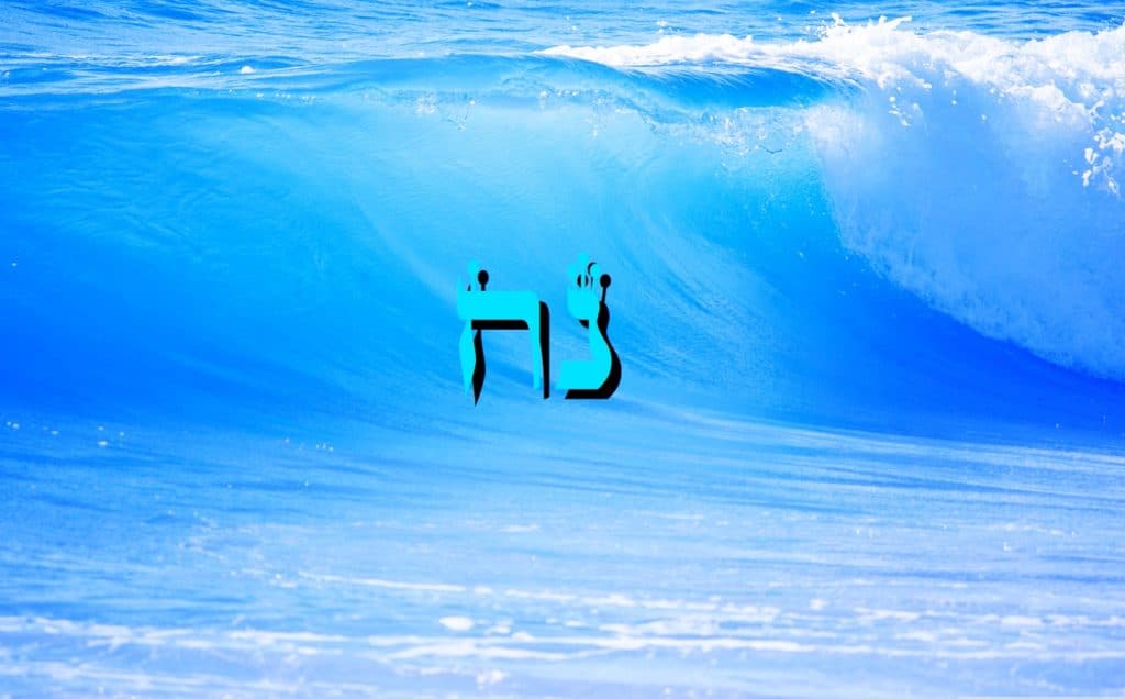 Parashat Noa'h