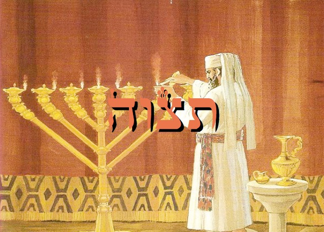 Erev Rav Amalek un écran illusoire !   Zéra Chimchone Paracha Tétsavé