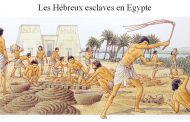 Haggada Béyad Hazaka - 20. Ils nous opprimèrent