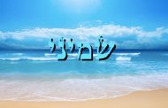 Divré Torah Parashat Chémini - 5778 - Y. M. Charbit