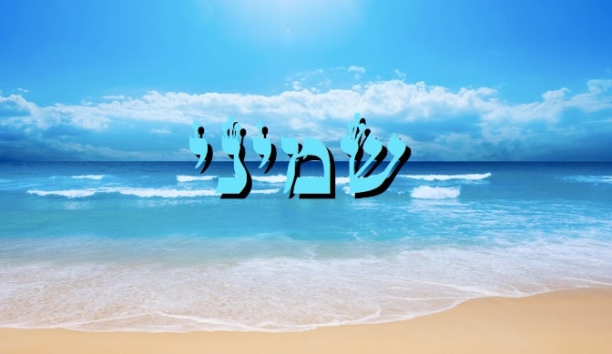 Divré Torah Parashat Chémini - 5778 - Y. M. Charbit