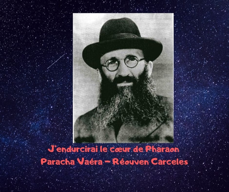 J’endurcirai le cœur de Pharaon Paracha Vaéra - Réouven Carceles