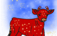 La vache rousse -  Para adouma