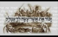 Origine du nom Amalek (Sms Torah)