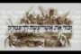 Il ne Dort, ni ne Sommeille le Gardien d'Israël (Sms Torah)