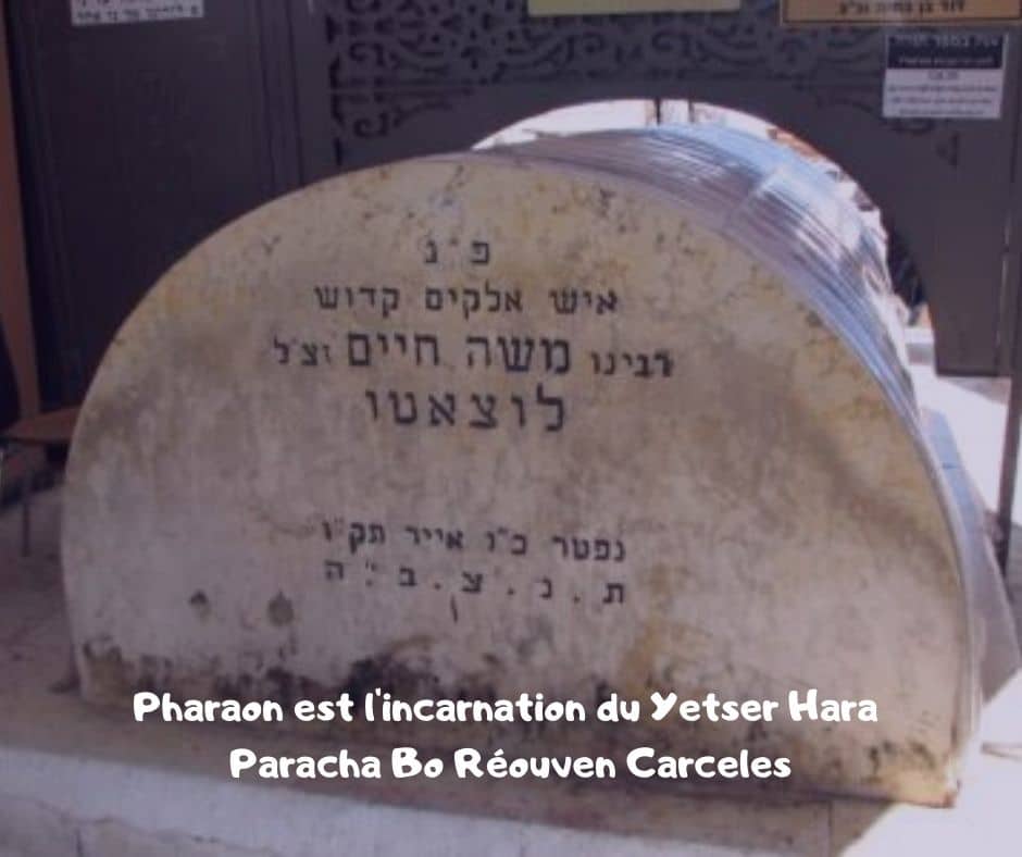 Pharaon est l'incarnation du Yetser Hara - Paracha Bo Réouven Carceles