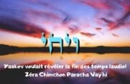 Zéra Chimchon Paracha Vay'hi (audio) Le mystère de la réparation ultime