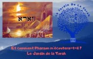 Et comment Pharaon m’écoutera-t-il ? Paracha Vaéra JardindelaTorah