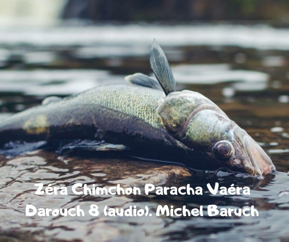 Zéra Chimchon Paracha Vaéra Darouch 8 (audio). Michel Baruch