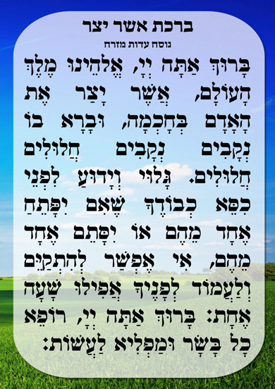 La bénédiction d’Acher Yatsar - Rav David Pitoun