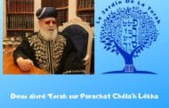 2 divré Torah sur Parachat Chéla’h Lékha - Jardin de la Torah