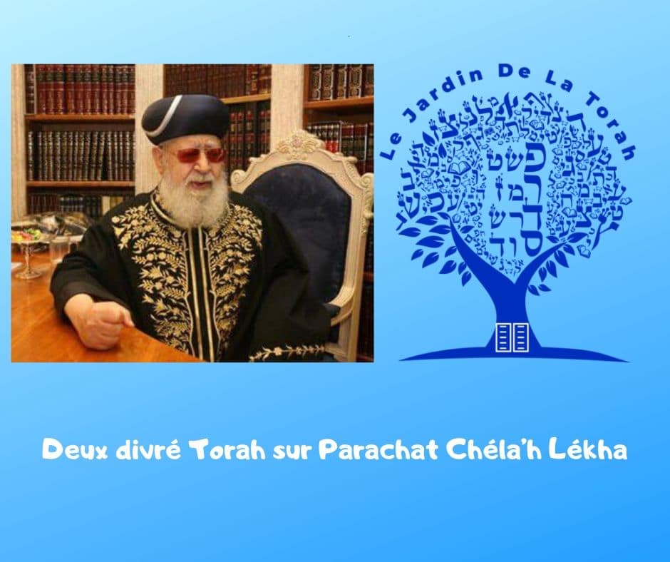 2 divré Torah sur Parachat Chéla’h Lékha - Jardin de la Torah