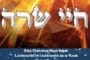 Se laver pendant Shabbat - Rav David Pitoun