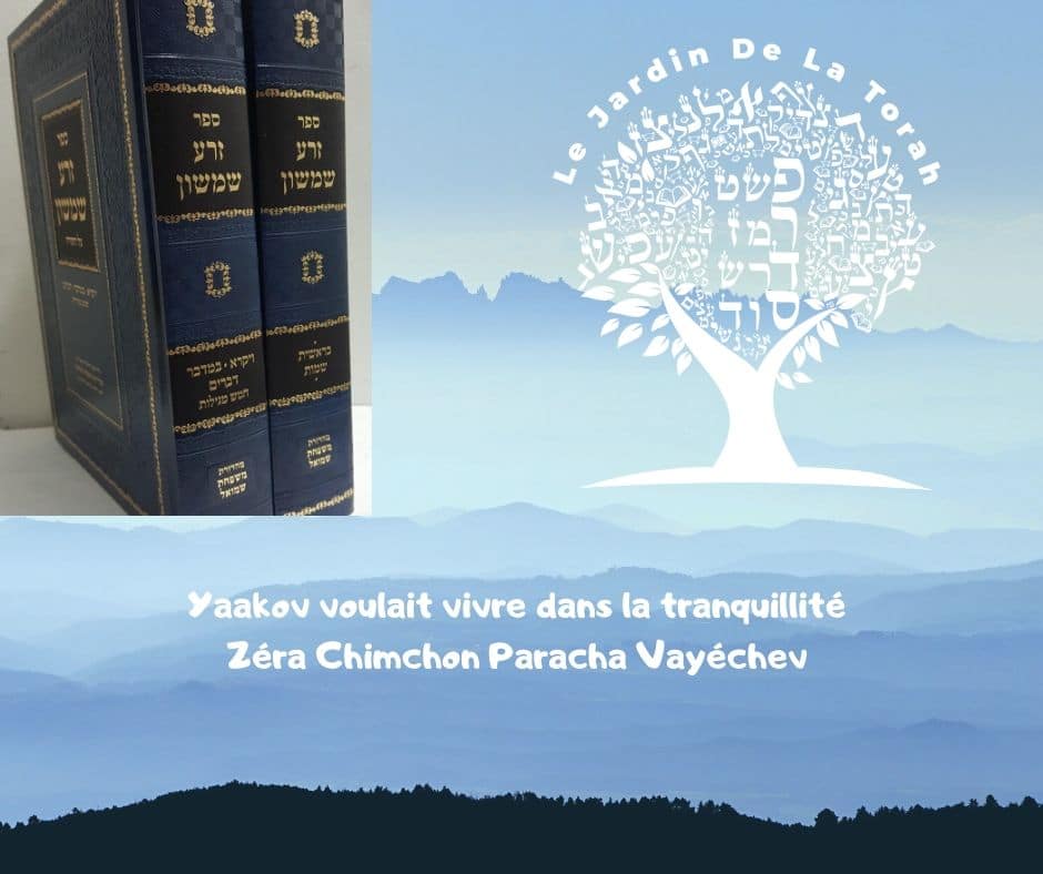Yaakov voulait vivre dans la tranquillité. Zéra Chimchon Paracha Vayéchev.