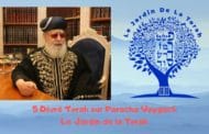 Paracha Vaygach 5 Divré Torah par Jardindelatorah