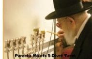 Paracha Mikets 5 Divré Torah par Jardindelatorah