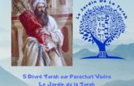 Paracha Vaéra - 5 Divré Torah par Jardindelatorah