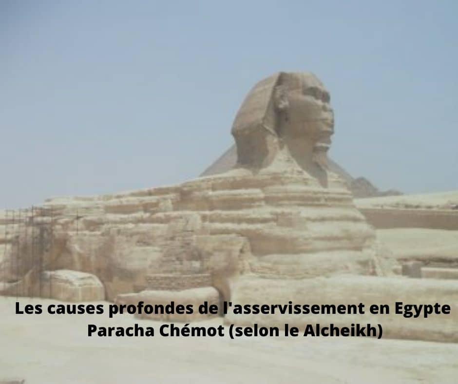 Causes profondes de l'asservissement en Egypte. Paracha Chémot Alsheikh